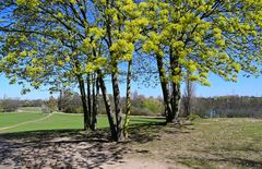 Frühling im Südpark