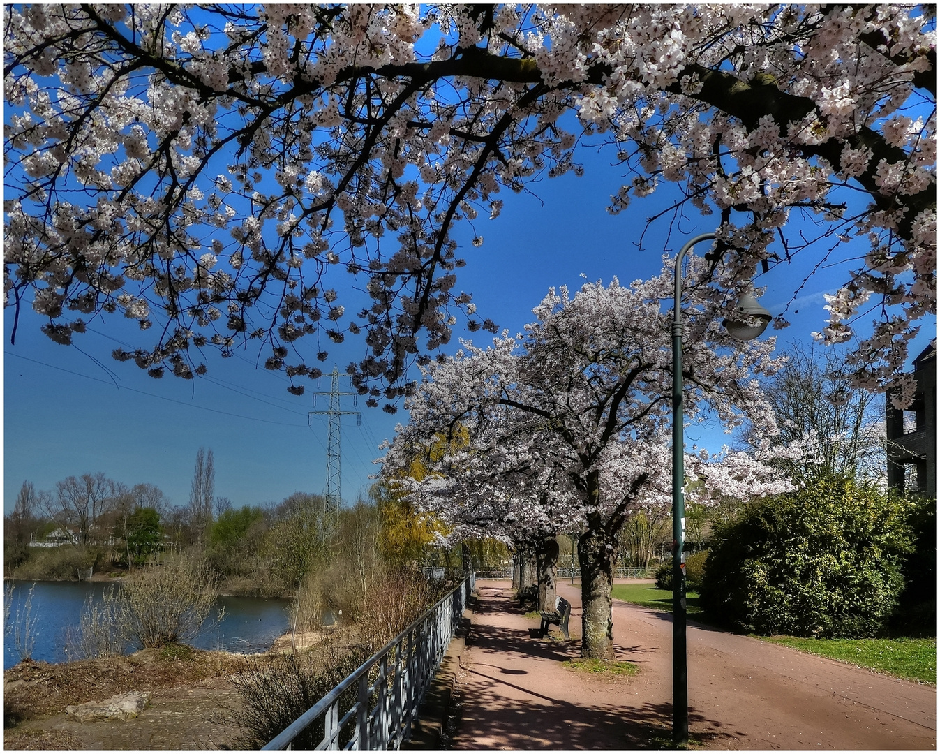 Frühling im Südpark Düsseldorf