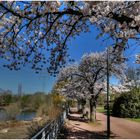 Frühling im Südpark Düsseldorf