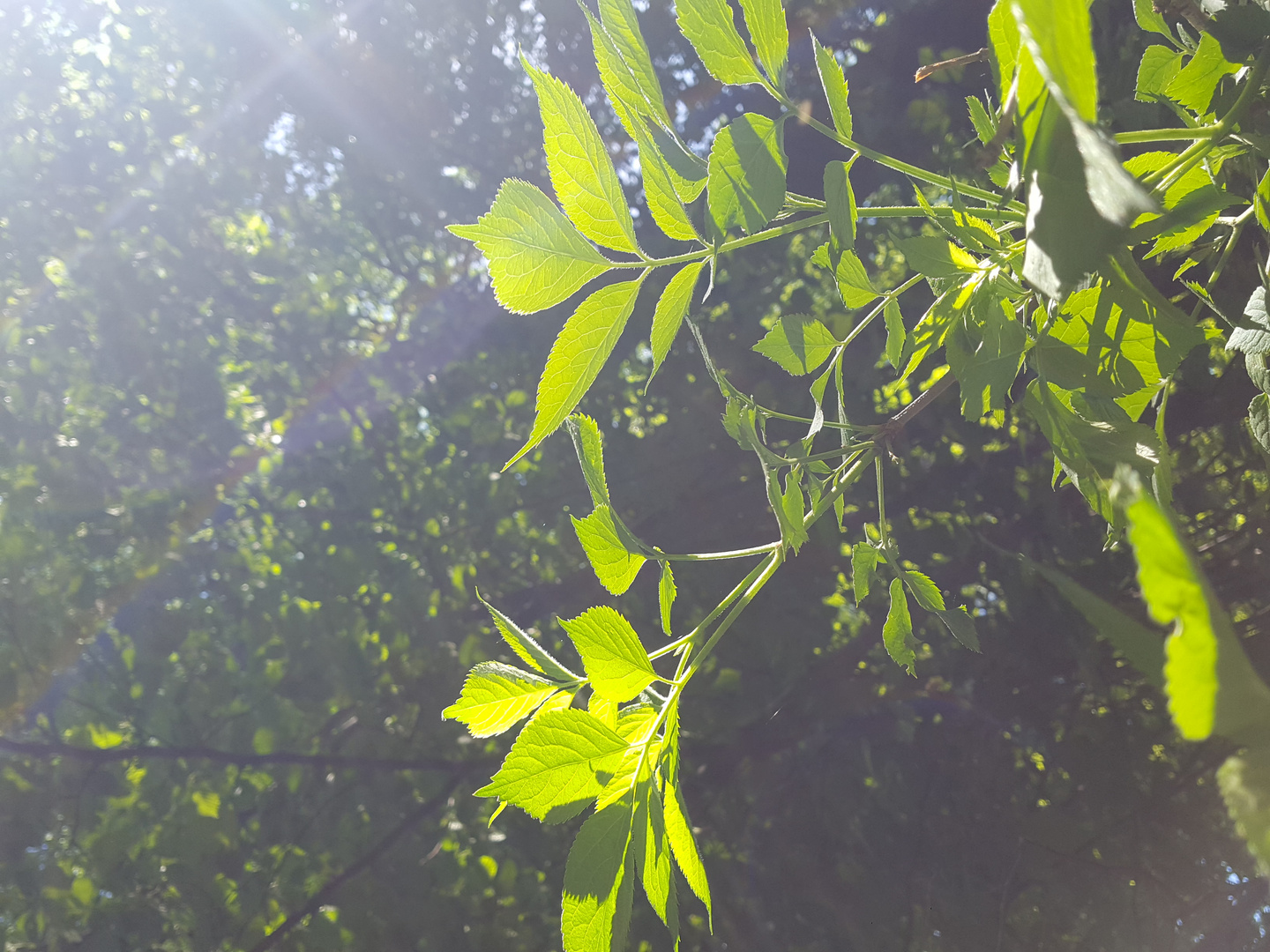 Frühling im Südwesten Deutschlands 