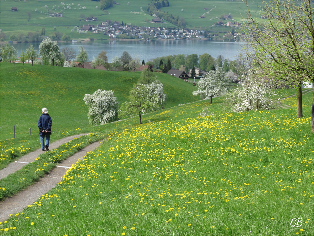 Frühling im Tal