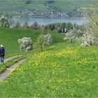 Frühling im Tal