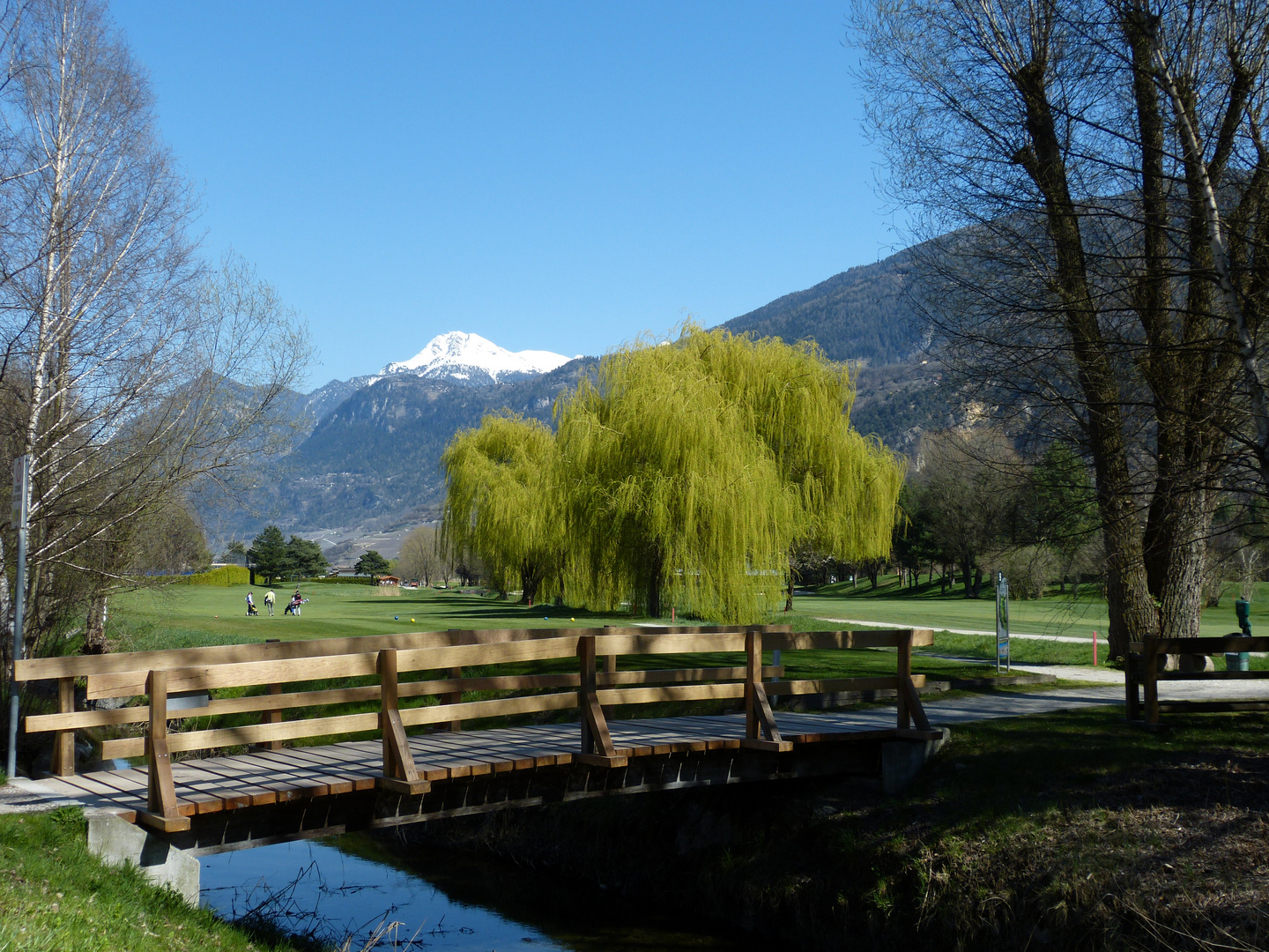 Frühling im Tal.