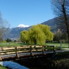 Frühling im Tal.