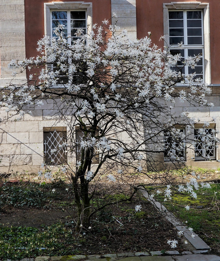 Frühling im Tal