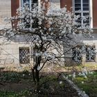 Frühling im Tal