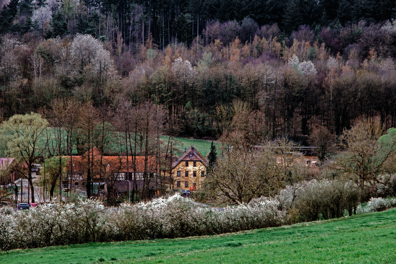 Frühling im Tal