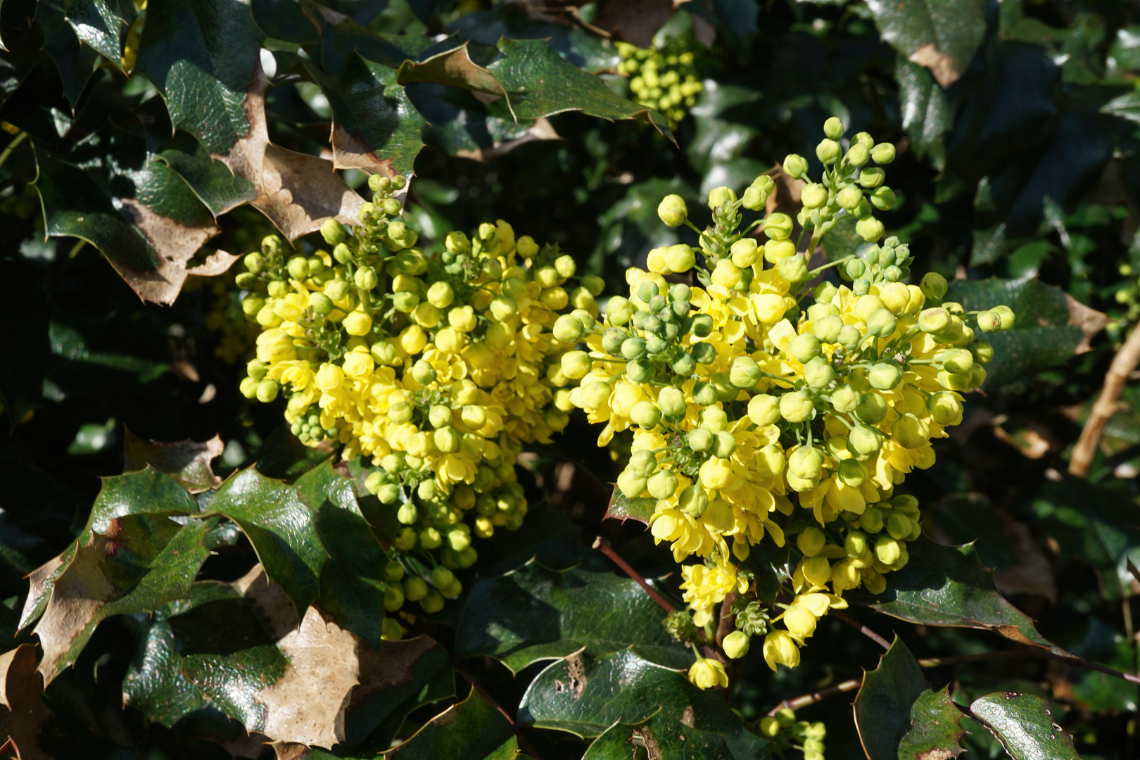 Frühling im Tal