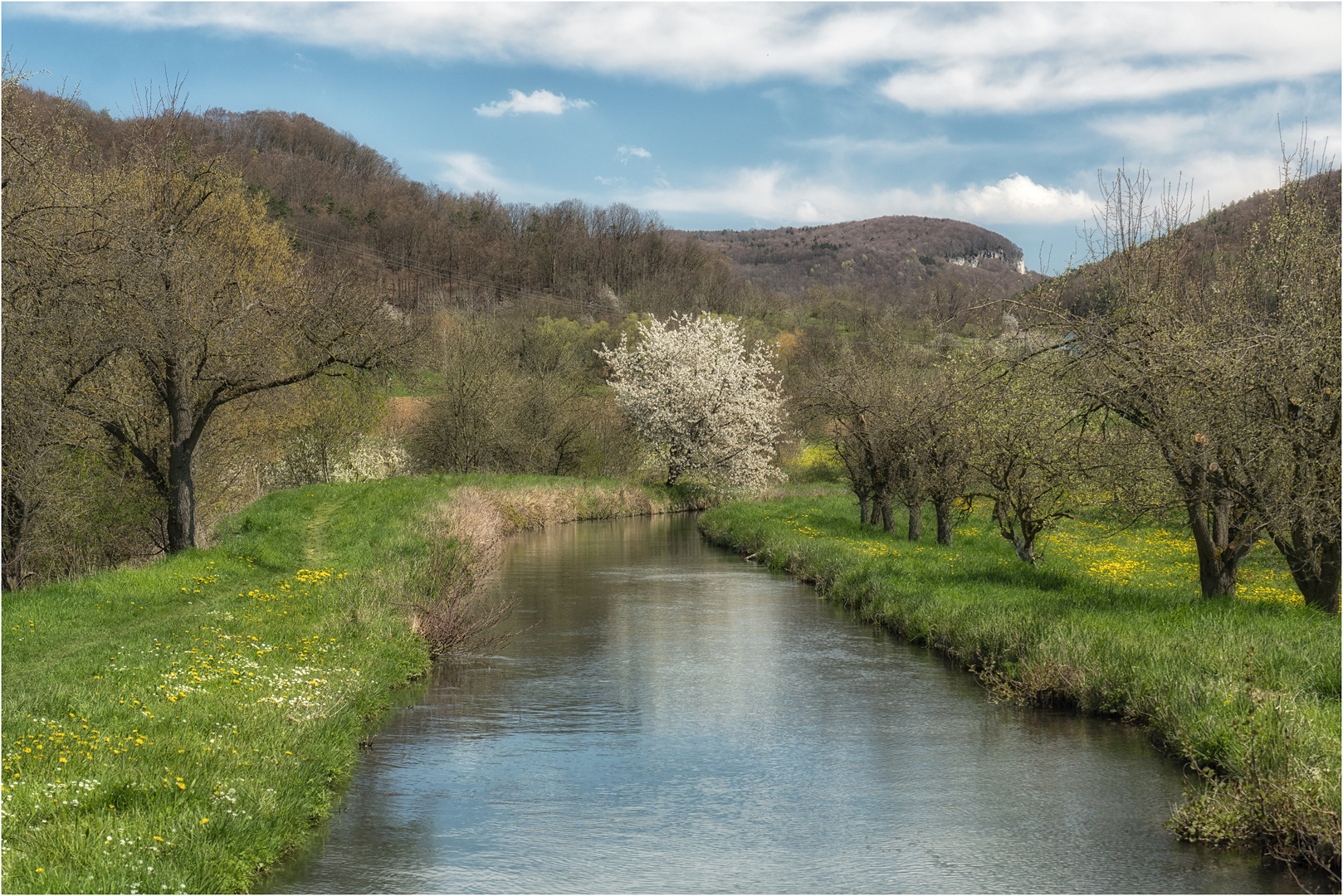 Frühling im Tal