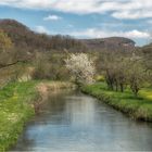 Frühling im Tal