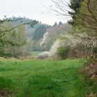 Frühling im Tal