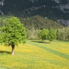 Frühling im Tal