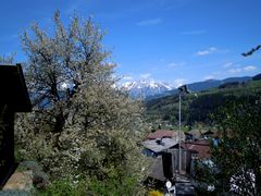 Frühling im Tal