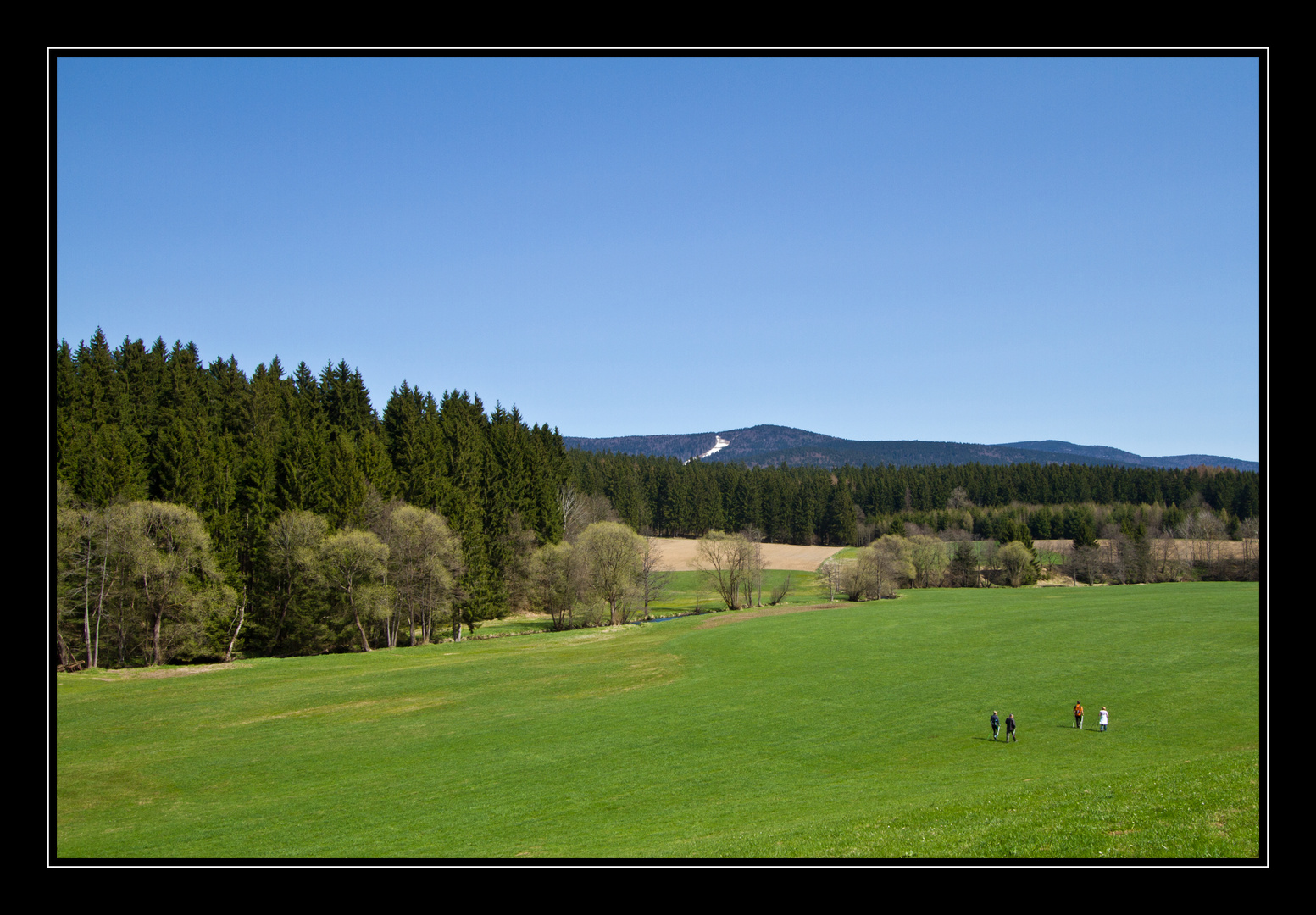 Frühling im Tal der Großen Mühl