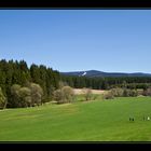 Frühling im Tal der Großen Mühl