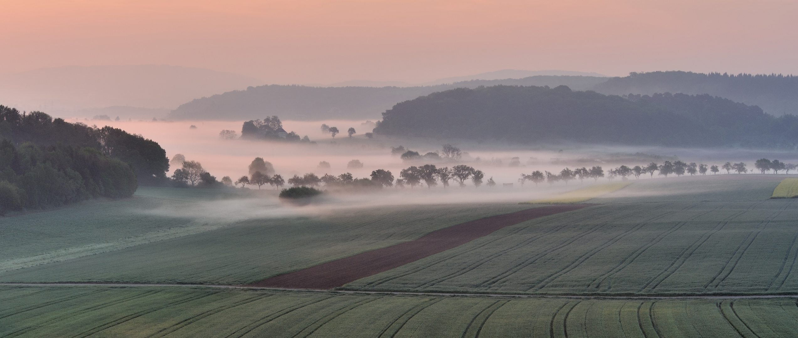 *Frühling im Tal der Morgennebel*