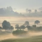 *Frühling im Tal der Morgennebel II*