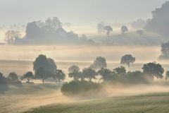 *Frühling im Tal der Morgennebel II*