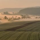 *Frühling im Tal der Morgennebel III*