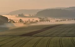 *Frühling im Tal der Morgennebel III*