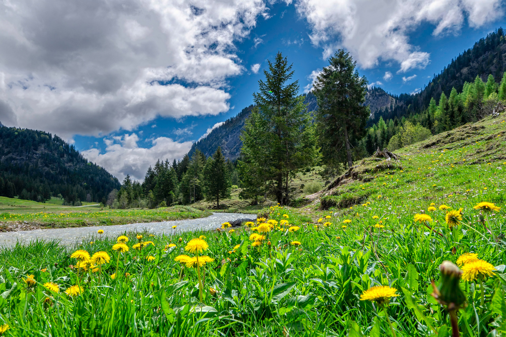 Frühling im Tannheimertal