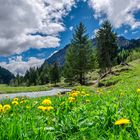 Frühling im Tannheimertal