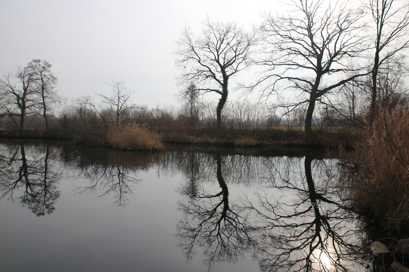 Frühling im Taubergießen 2014 - 1