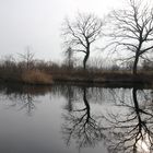 Frühling im Taubergießen 2014 - 1