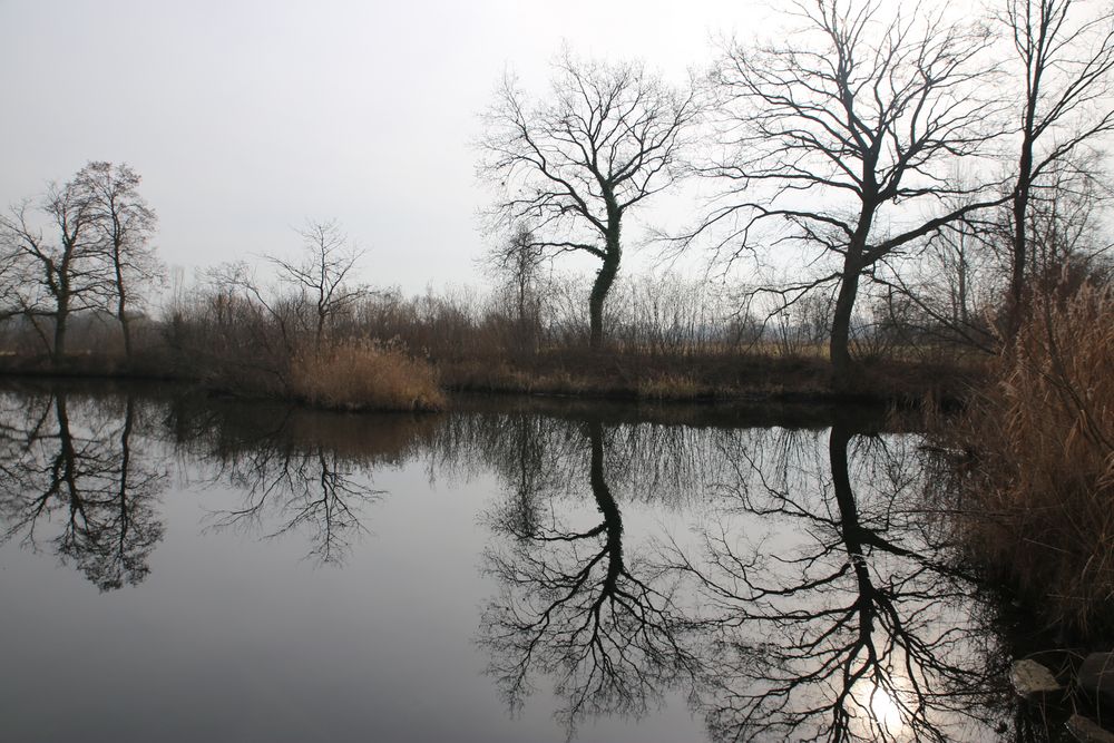 Frühling im Taubergießen 2014 - 1