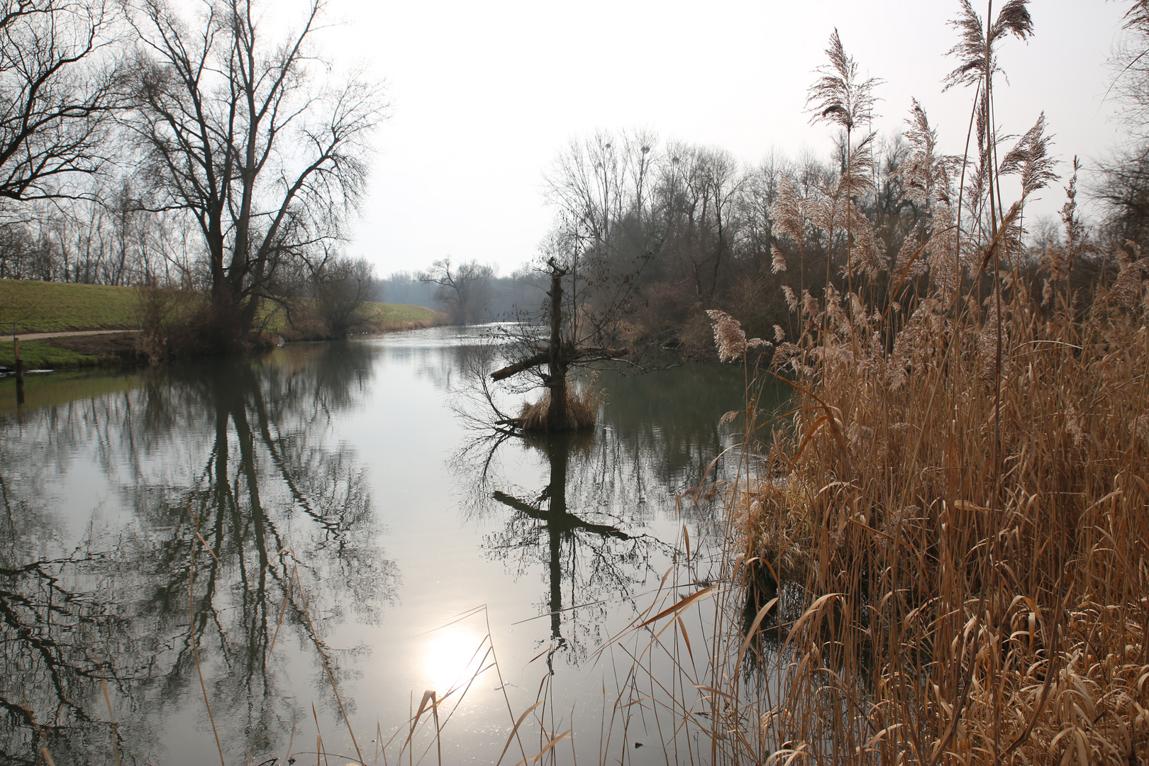 Frühling im Taubergießen 2014 - 5