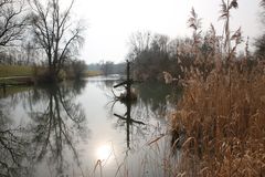 Frühling im Taubergießen 2014 - 5