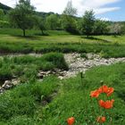 Frühling im Taubertal