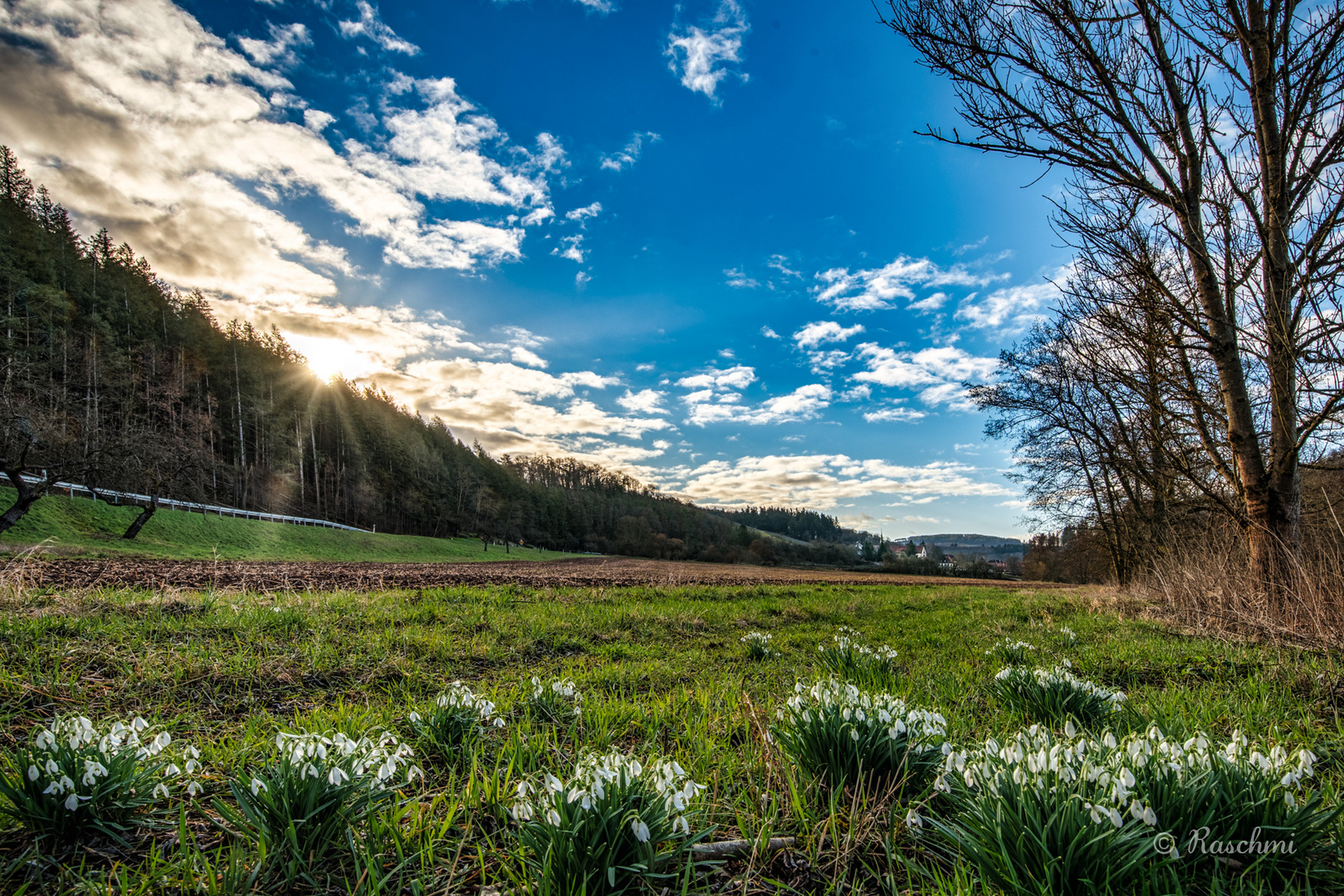 FRÜHLING im TAUBERTAL