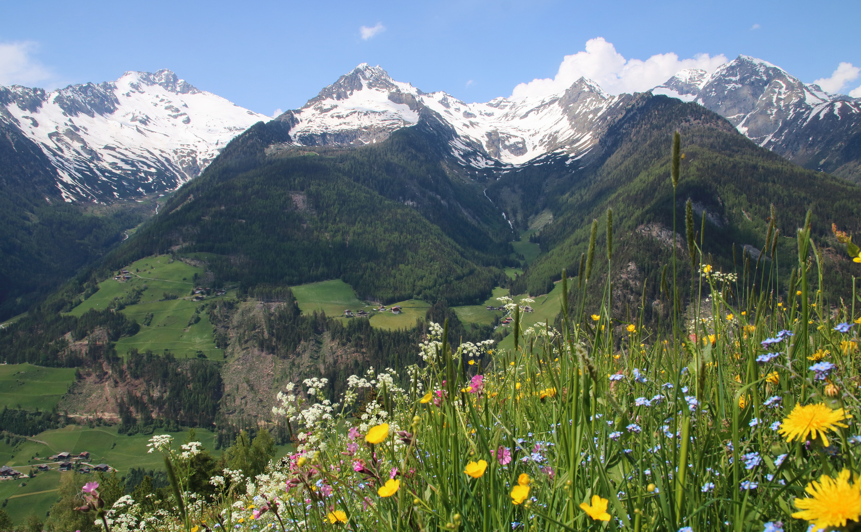 Frühling im Tauferer Ahrntal