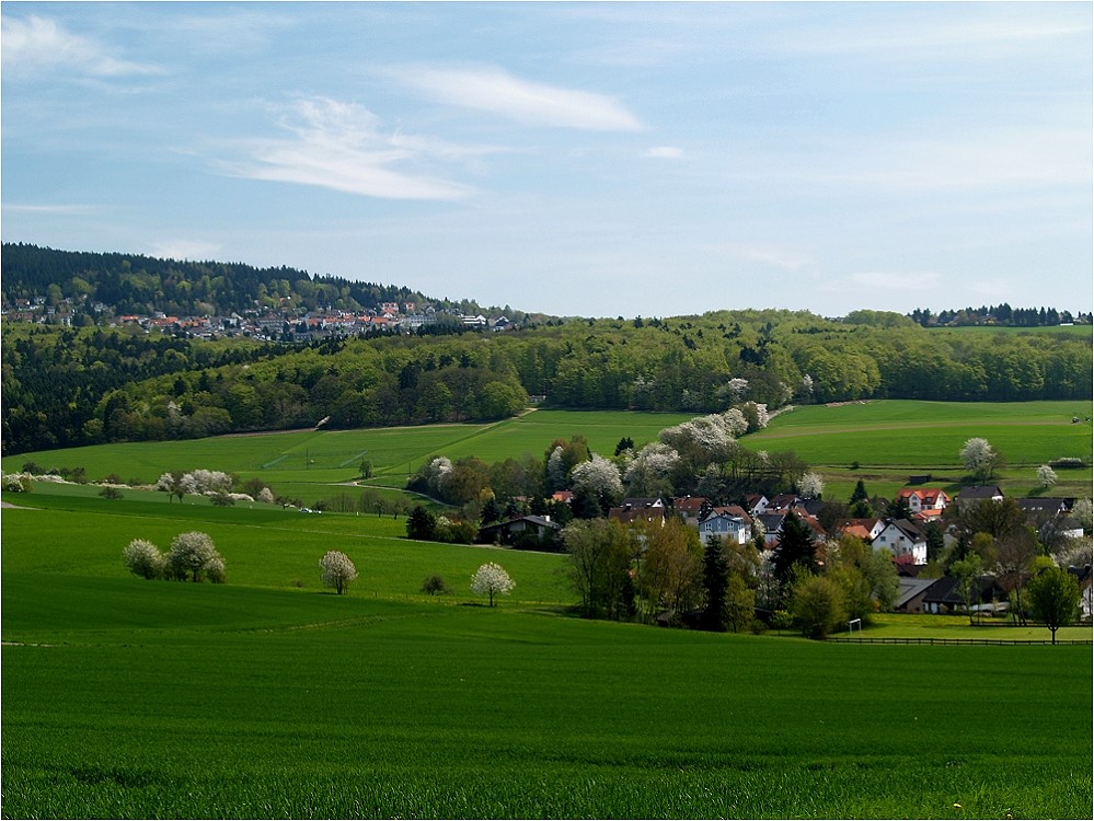 Frühling im Taunus