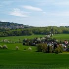 Frühling im Taunus