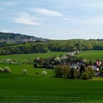 Frühling im Taunus