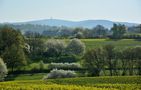 Frühling im Taunus von Photo-Wolf 