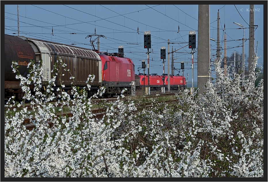 Frühling im Taurusland