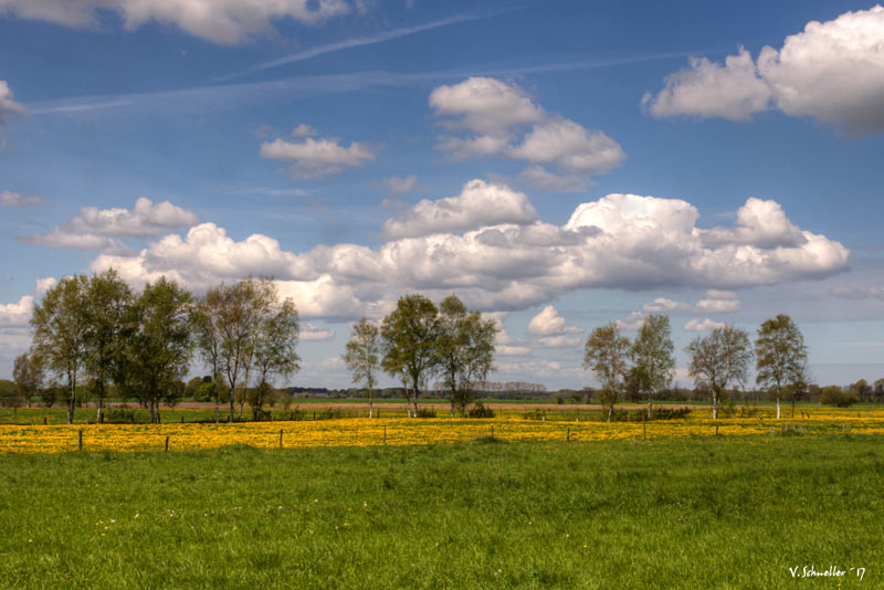 ~ Frühling im Teufelsmoor ~