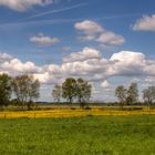 ~ Frühling im Teufelsmoor ~