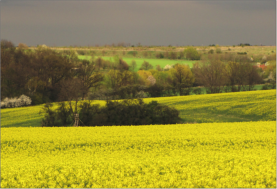 Frühling im Thüringer Land