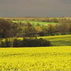 Frühling im Thüringer Land