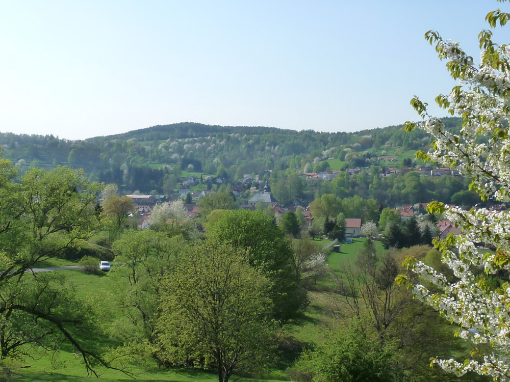 Frühling im thüringer Wald