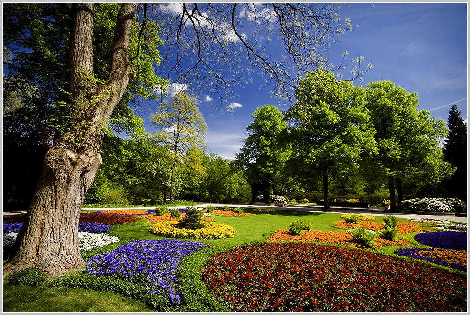 Frühling im Tiergarten