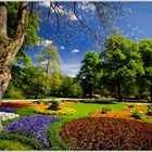 Frühling im Tiergarten