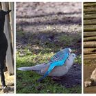 Frühling im Tierpark Gettorf