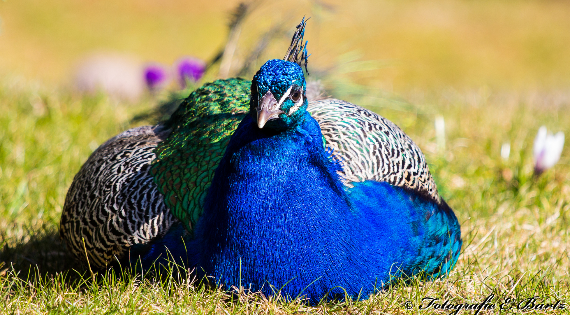 Frühling im Tierpark. Guck!