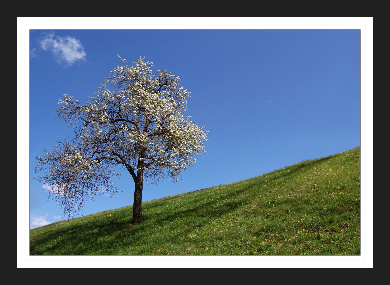 Frühling im Tiroler Oberland !