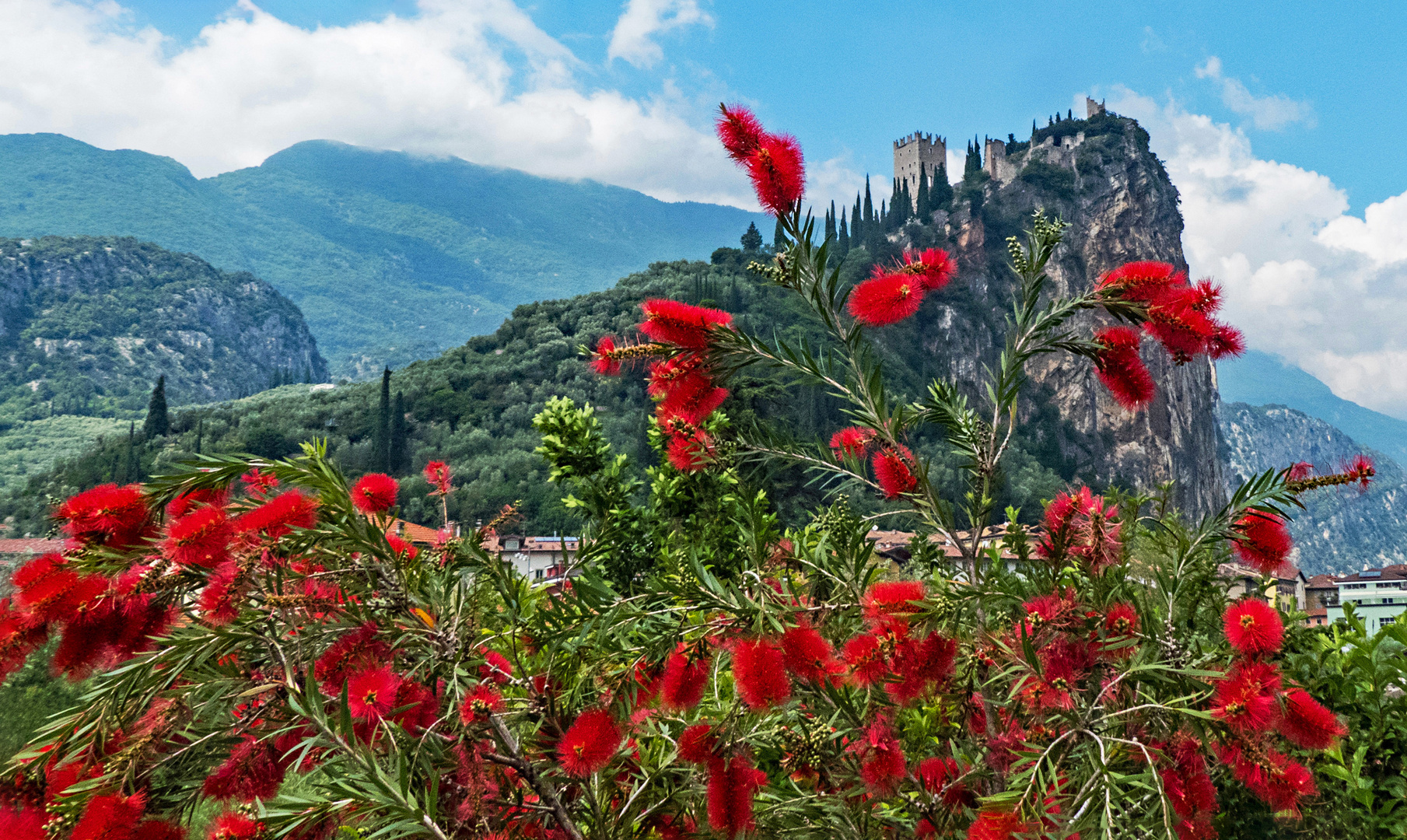 Frühling im Trentino